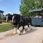 2019_OTRA_0611 (September 01, 2019)